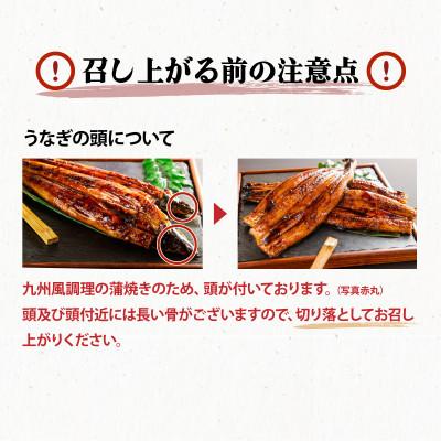 ふるさと納税 上峰町 国産うなぎ蒲焼160g×3尾(計480g)(上峰町) |  | 01