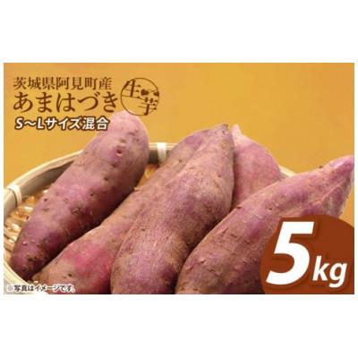 ふるさと納税 阿見町 [12月下旬より順次発送]さつまいも あまはづき5kg (90-02)