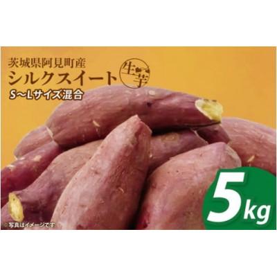 ふるさと納税 阿見町 [12月下旬より順次発送]さつまいも シルクスイート5kg (90-03)