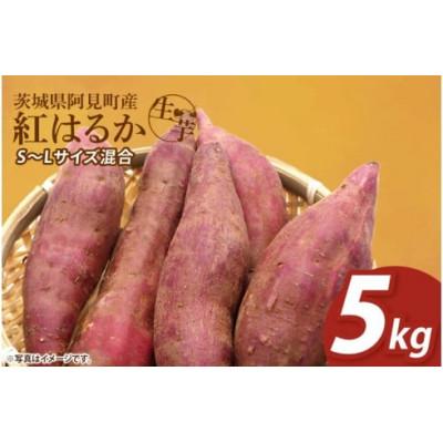 ふるさと納税 阿見町 [12月下旬より順次発送]さつまいも 紅はるか5kg (90-04)
