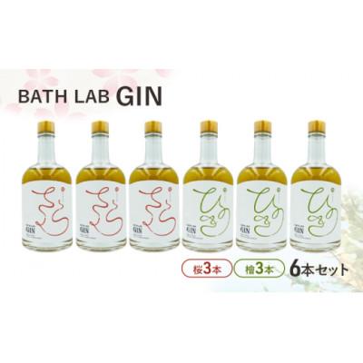 ふるさと納税 大田区 羽田ブルワリー「BATH LAB GIN6本セット」(桜3本・檜3本)