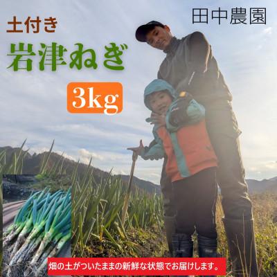 ふるさと納税 朝来市 土付き岩津ねぎ 3kg 箱入り [田中農園] 新鮮
