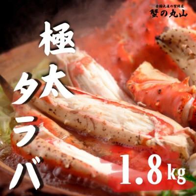 ふるさと納税 泉南市 ●[生食ok!!極太サイズ]生たらば蟹 ハーフポーション 約1.8kg ふるさと納税3.0