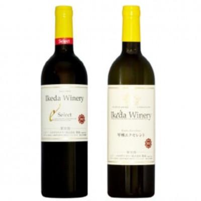 ふるさと納税 甲州市 イケダワイナリー 2本セット[セレクト赤 / 甲州エクセレント]B15-751