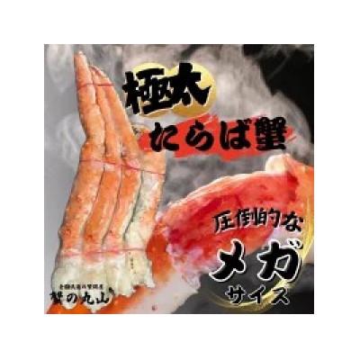 ふるさと納税 泉南市 [極太メガサイズ]ボイルたらば蟹肩 約5kg(約2.5kg2肩) ふるさと納税3.0