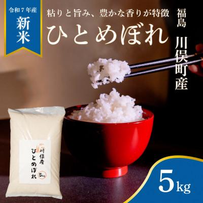 ふるさと納税 川俣町 川俣町産 ひとめぼれ 精米 5kg