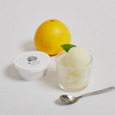 ふるさと納税 土佐市 土佐文旦アイス(6個セット)