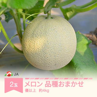 ふるさと納税 村山市 [先行予約]温室メロン 品種おまかせ 令和8年産 2玉 優以上 約4kg