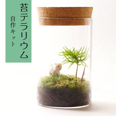 ふるさと納税 平谷村 [南信州平谷村 高原の苔]直径65mm ミニサイズ 苔テラリウム制作キット ミニチュアセット