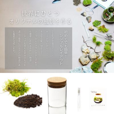 ふるさと納税 平谷村 【南信州平谷村 高原の苔】直径65mm ミニサイズ 苔テラリウム制作キット ミニチュアセット |  | 01