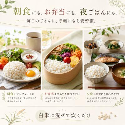ふるさと納税 江北町 佐賀県産もち麦 キラリモチ 900g(300g×3袋)白米になじむ白いもち麦 五つ星お米マイスター厳 |  | 01