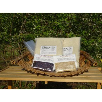ふるさと納税 綾町 完全自然米 白米5kg(令和7年産)+古代米セット(黒米140g・緑米140g)