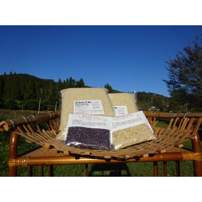 ふるさと納税 綾町 完全自然米 5分つき米5kg(令和7年産)+古代米セット(黒米140g・緑米140g)