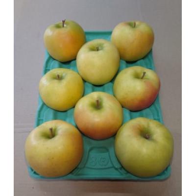 ふるさと納税 青森市 青森県産 希少品種 こうこう 約3キロ(約7〜12個)家庭用訳あり