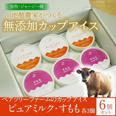 ふるさと納税 平谷村 [放牧・ジャージー]ペアツリーファームのカップアイス[ピュアミルク・すもも 各3個]計6個セット