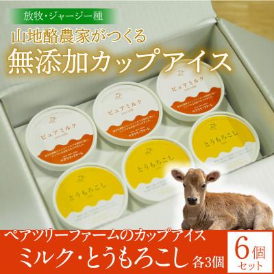 ふるさと納税 平谷村 [放牧・ジャージー]ペアツリーファームのカップアイス[ミルク・とうもろこし 各3個]計6個セット