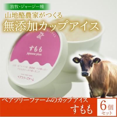 ふるさと納税 平谷村 [放牧・ジャージー]ペアツリーファームのカップアイス[すもも]6個セット