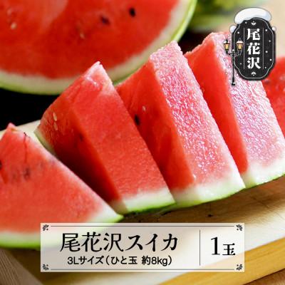 ふるさと納税 尾花沢市 先行予約 尾花沢スイカ 3Lサイズ 約8kg×1玉 2027年産 sb-su3xx1
