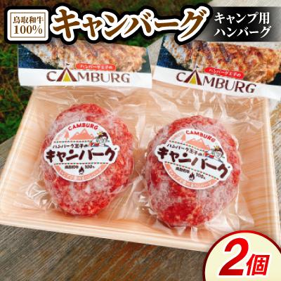 ふるさと納税 伯耆町 キャンバーグ300g×2個(鳥取和牛100%キャンプ用ハンバーグ)