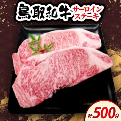 ふるさと納税 伯耆町 鳥取和牛サーロインステーキ 500g (2枚入)