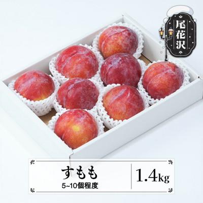 ふるさと納税 尾花沢市 先行予約 すもも 秋姫 秀品 約1.4kg 2026年産 sb-plahx1400