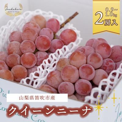 ふるさと納税 笛吹市 Inakakara厳選「クイーンニーナ」2房(計約0.9〜1.0kg)