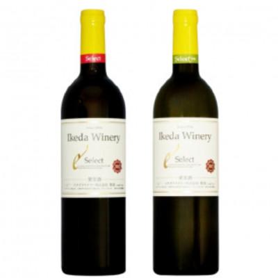 ふるさと納税 甲州市 イケダワイナリー 2本セット[セレクト赤 / セレクト白]B16-653