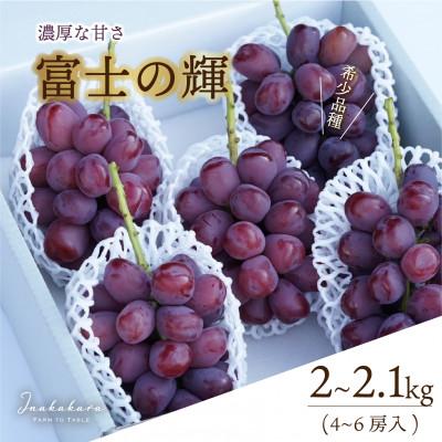 ふるさと納税 笛吹市 Inakakara厳選! 富士の輝 4〜6房(計2〜2.1kg)