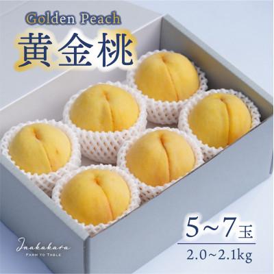 ふるさと納税 笛吹市 Inakakara厳選!幻の桃「黄金桃」 5〜7玉(計2〜2.1kg)