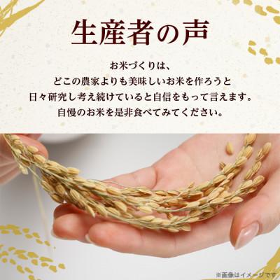 ふるさと納税 稲敷市 【令和7年産】茨城県産 にじのきらめき 10kg(5kg×2袋) |  | 03