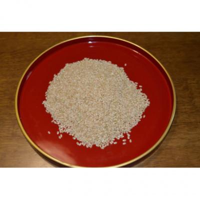 ふるさと納税 神戸市 兵庫県神戸市産・令和7年米「コシヒカリ」玄米 5kg