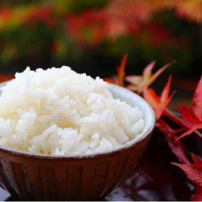 ふるさと納税 新庄市 黒澤のササニシキ 1kg 精米