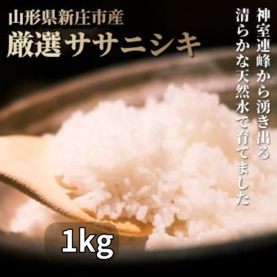 ふるさと納税 新庄市 厳選 ササニシキ 精米 1kg