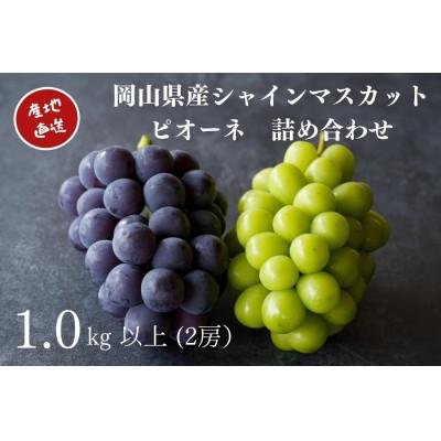 ふるさと納税 倉敷市 厳選 岡山県産 シャインマスカット・ピオーネ 詰合せ 計1.0kg以上 2房 産直・朝採れ