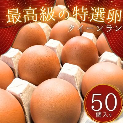 ふるさと納税 鴻巣市 黄身がつかめる新鮮地たまご クイーンラン 赤玉 50個入