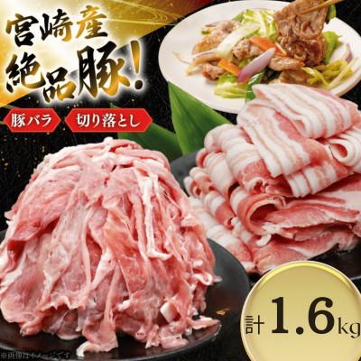 ふるさと納税 日向市 豚肉 小分け 宮崎県産 豚バラ&amp;切り落とし 計1.6kg(日向市)