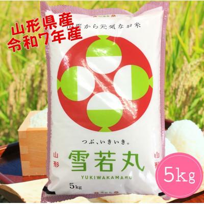 ふるさと納税 酒田市 山形県産 雪若丸5kg 令和7年産