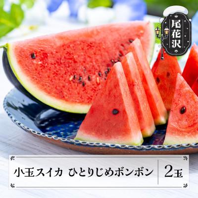 ふるさと納税 尾花沢市 先行予約 小玉スイカ ひとりじめBonBon 2玉 2026年産 sb-sukbx2