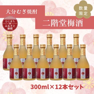ふるさと納税 日出町 [数量限定♪]大分むぎ焼酎 二階堂梅酒(300ml)12本セット