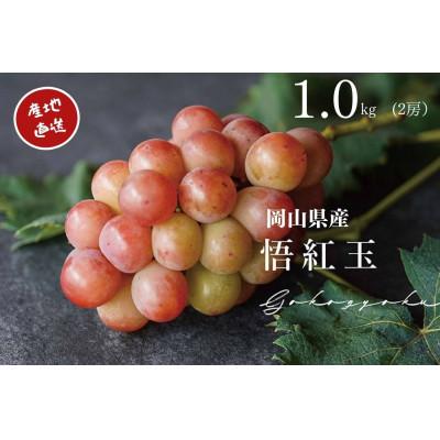 ふるさと納税 岡山市 [2026年先行受付] 厳選 岡山県産 悟紅玉 計1.0kg以上 2房 産直・朝採れ