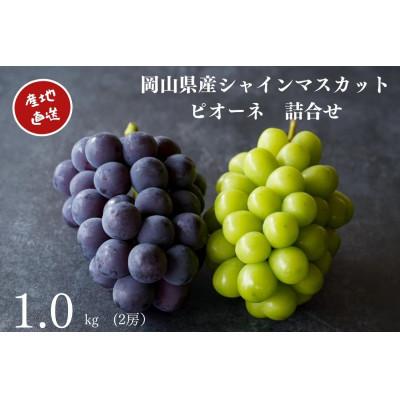 ふるさと納税 岡山市 [2026年先行受付]厳選 岡山県産 シャインマスカット・ピオーネ詰合せ 計1.0kg以上 2房