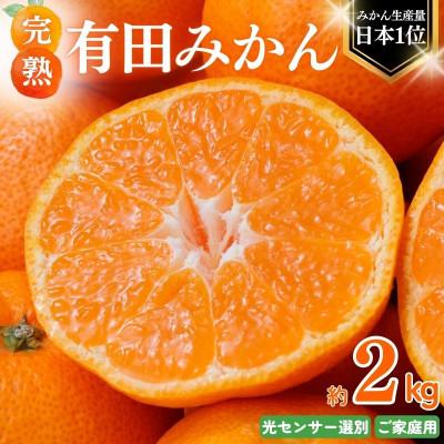 ふるさと納税 北山村 [2025年11月発送予約] ご家庭用 有田みかん 約2kg 光センサー選別[nuk159-11A]