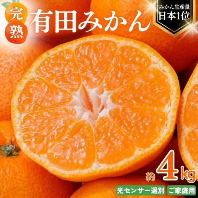 ふるさと納税 北山村 [11月発送予約] ご家庭用 有田みかん 約4kg+250g 光センサー選別[nuk148-11A]