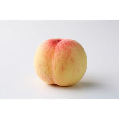 ふるさと納税 浅口市 岡山白桃食べ比べ早生種 2種2玉