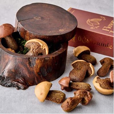 ふるさと納税 越谷市 フィナンシエ「ポルチーニショコラ」