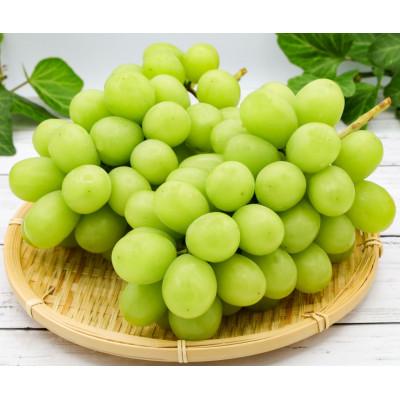 ふるさと納税 千曲市 [2026年先行予約]訳あり シャインマスカット 家庭用 約2kg(4〜6房 ※最低1.8kg以上)