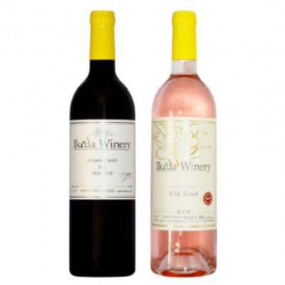 ふるさと納税 甲州市 イケダワイナリー 2本セット[グラン・キュヴェ メルロー / ヴァン・ロゼ]B18-662