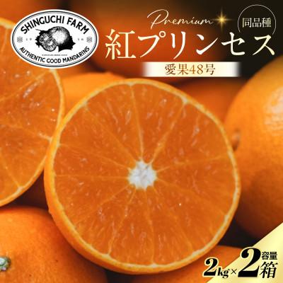 ふるさと納税 八幡浜市 [紅プリンセスと同品種]「甘平×まどんな」愛果48号[2kg×2箱][家庭用][F70-111]