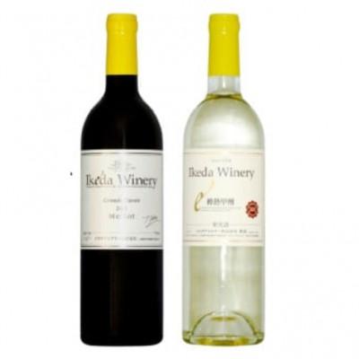 ふるさと納税 甲州市 イケダワイナリー 2本セット[グラン・キュヴェ メルロー / 樽熟甲州]B18-657