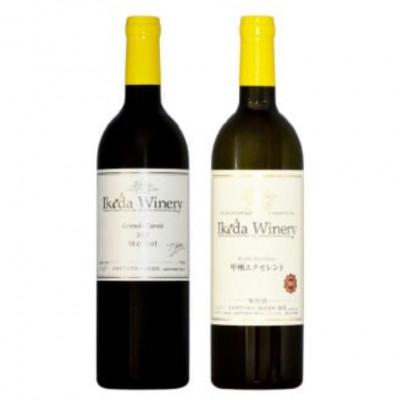 ふるさと納税 甲州市 イケダワイナリー 2本セット[グラン・キュヴェ メルロー / 甲州エクセレント]B18-659